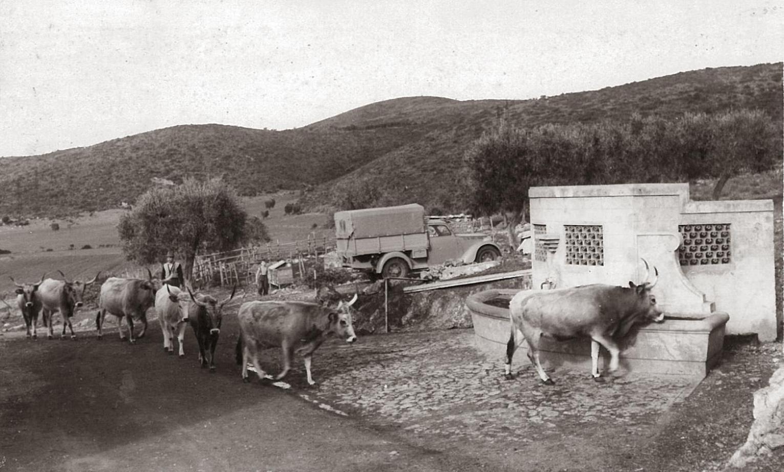 أوربيتيلو Agriturismo Grazia المظهر الخارجي الصورة