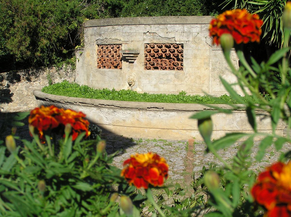 أوربيتيلو Agriturismo Grazia المظهر الخارجي الصورة
