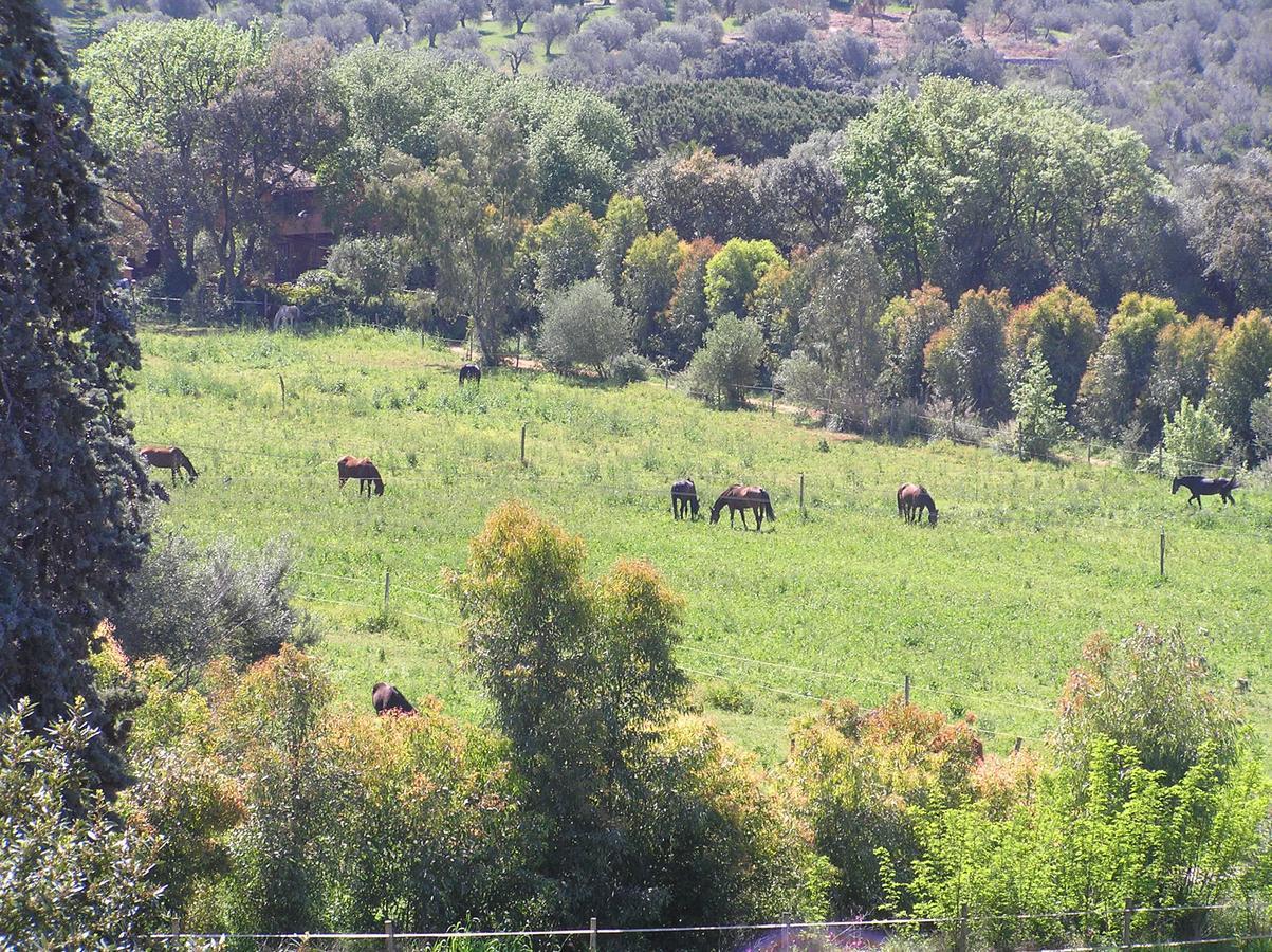 أوربيتيلو Agriturismo Grazia المظهر الخارجي الصورة
