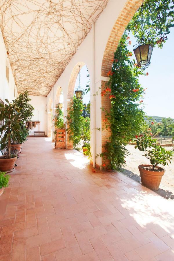 أوربيتيلو Agriturismo Grazia المظهر الخارجي الصورة